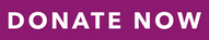 Donate now with Just Giving (opens in new tab)